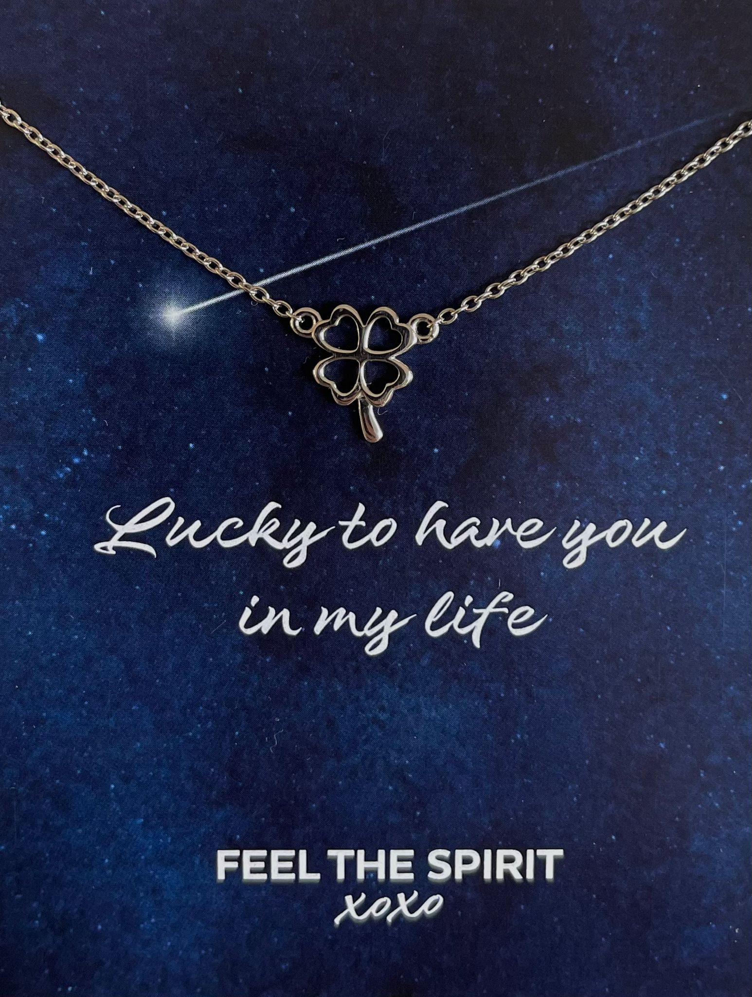 Ketting Klavertje Vier Zilver XN002S-1